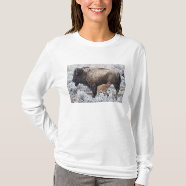 Ko som ammar Bisonkalv, Yellowstone Tee (Framsida)