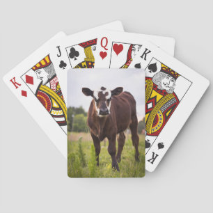 Ko som leker kort spel kort