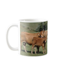 Ko som slickar henne kalv