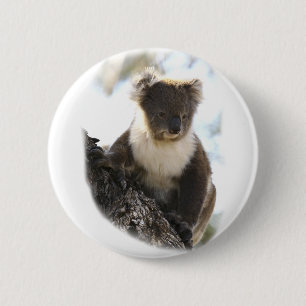 Koala 2 knapp