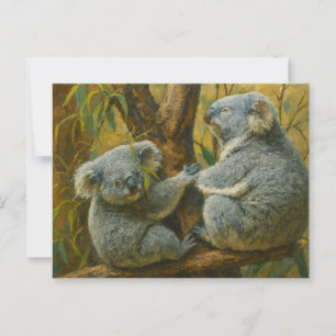 Koala Assions - Realistic Wildlife Pair Vykort