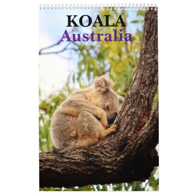 KOALA AUSTRALIA KALENDER (Omslag)