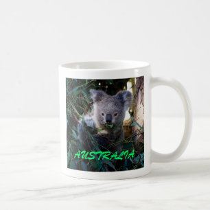 Koala AUSTRALIEN Kaffemugg