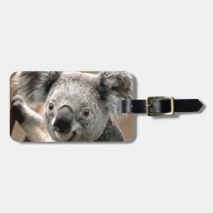 Koala Bagagebricka