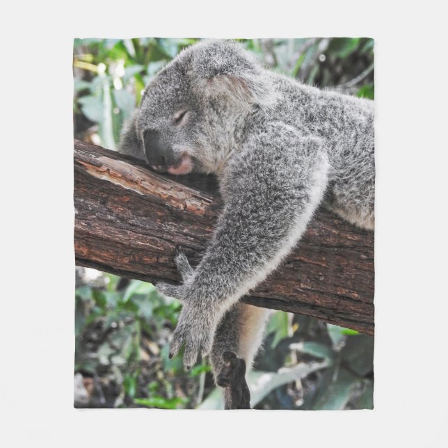 KOALA BAR SLEEPING PÅ TRÄD FLEECEFILT (Framsidan)