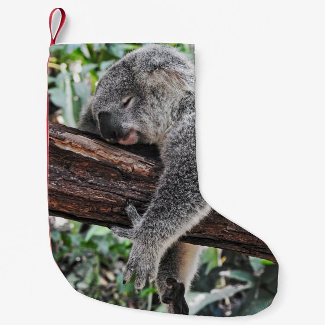 KOALA BAR SLEEPING PÅ TRÄD LITEN JULSTRUMPA (Framsidan)