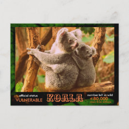 KOALA (Bear) är hotat, läs följande:  - Vykort