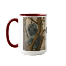 Koala Bear Aussi Safari Peace Kärlek Natur Destiny