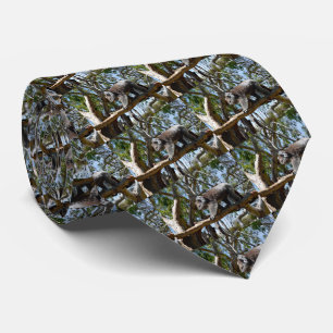 Koala Bear Cat Walk, Neck Tie Slips