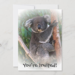 Koala Bear Design Valfri Tillfälle Inbjudningar
