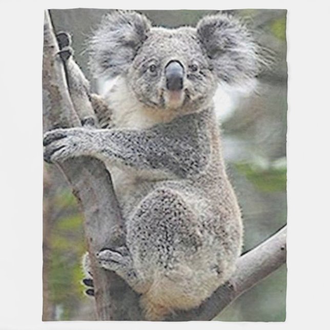 KOALA BEAR FLEECEFILT (Framsidan)