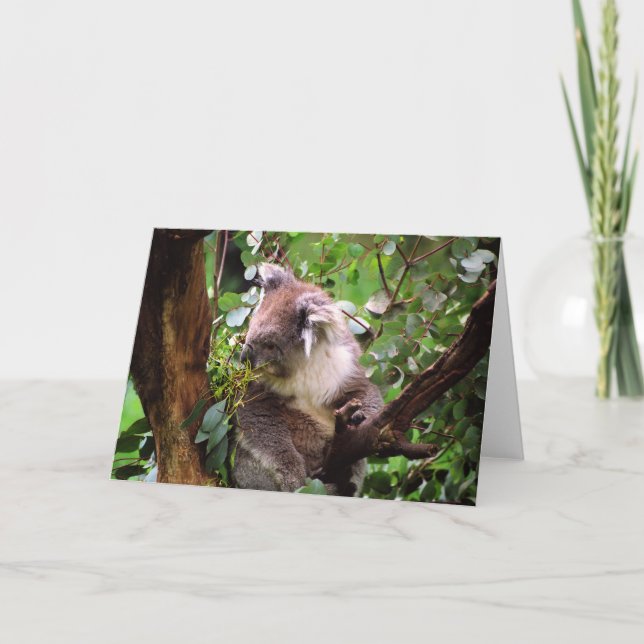 Koala Bear Greeting Card Kort (Framsida)