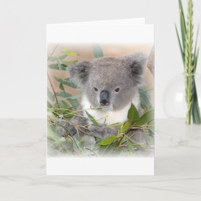 Koala Bear Greeting Card Kort (Framsida)