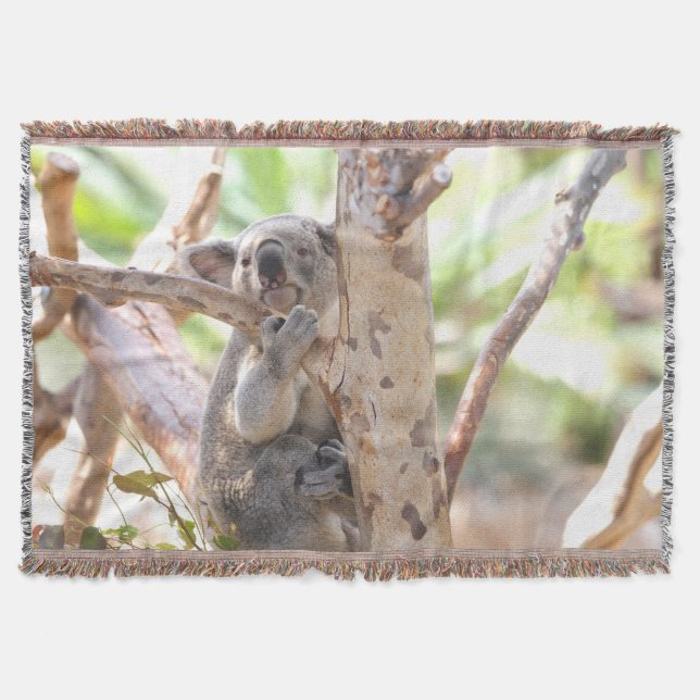 Koala Bear i A Träd Mysfilt (Framsidan)