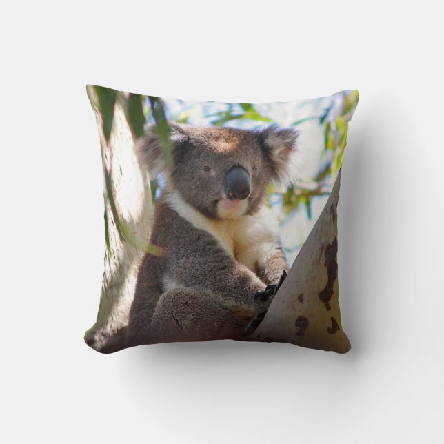 Koala Bear i Träd Decorative Animal Dekorativ kudd Kudde (Framsida)
