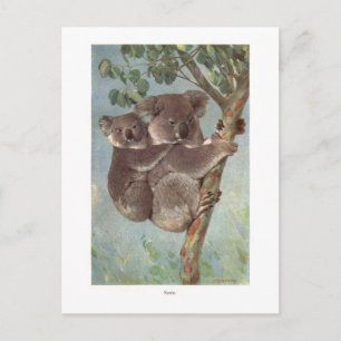 Koala Bear i Träd illustration Vykort
