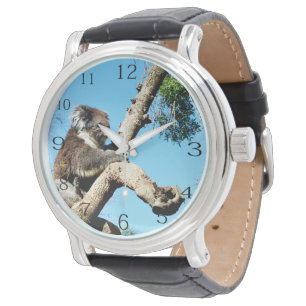 Koala Bear in Old Gräs Träd. Armbandsur