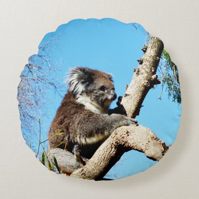 Koala Bear in Old Gräs Träd. Rund Kudde (Framsidan)