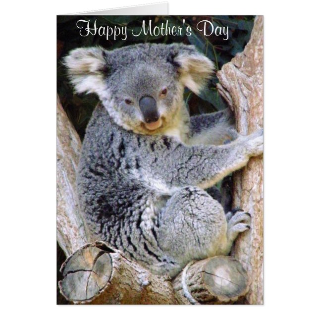 Koala Bear Kärlek_ Hälsningskort (Framsidan)