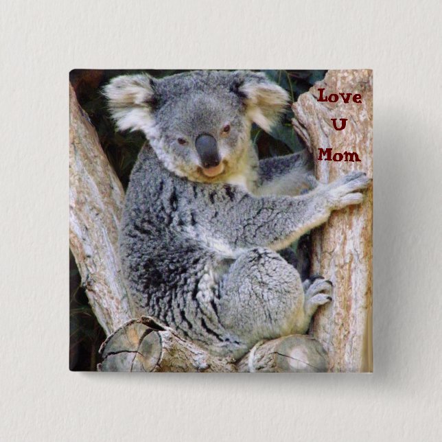 Koala Bear Kärlek_ Knapp (Framsida)