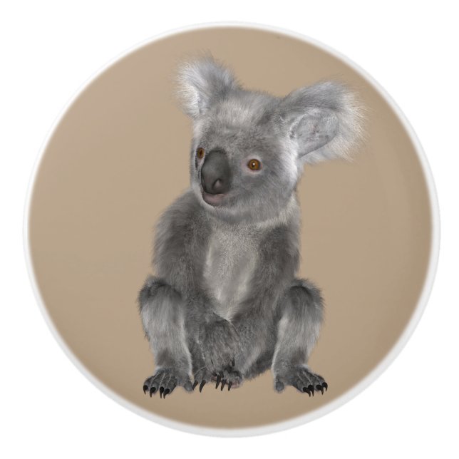 Koala Bear Knopp (Framsidan)