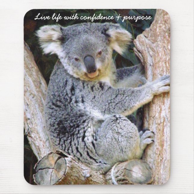 Koala Bear Love_ Musmatta (Framsidan)