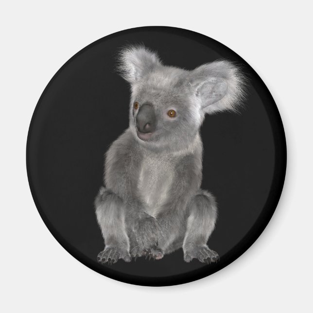 Koala Bear Magnet (Framsidan)