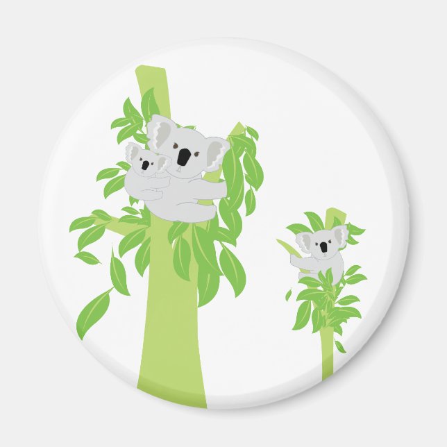 Koala Bear Magnet (Framsidan)