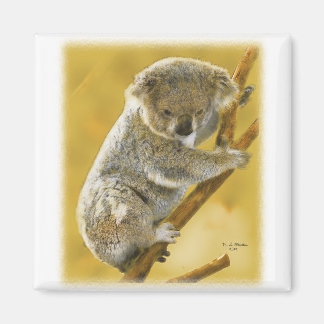 Koala Bear Magnet (Framsidan)