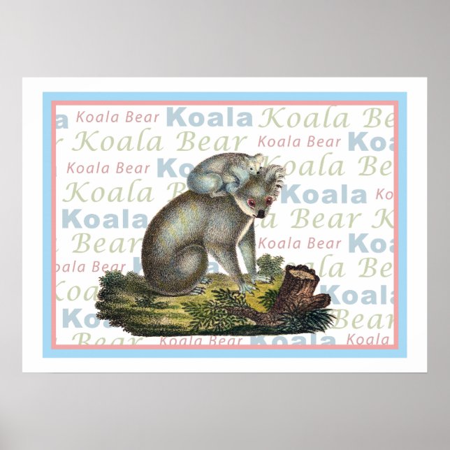 Koala Bear och Baby Poster (Framsidan)