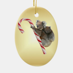 Koala Bear och Joey Unge Candy cane Julgransprydnad Keramik