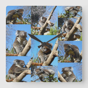 Koala Bear Photo Collage Fyrkantig Klocka