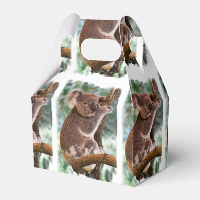 Koala Bear Presentaskar (Framsidan Sidan)