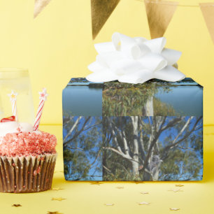 Koala Bear Sleeping in Gum Träd. Presentpapper