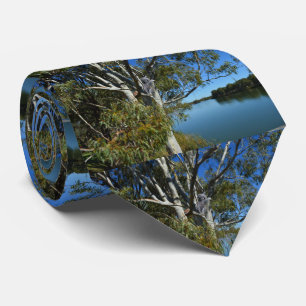 Koala Bear Sleeping in Gum Träd. Slips