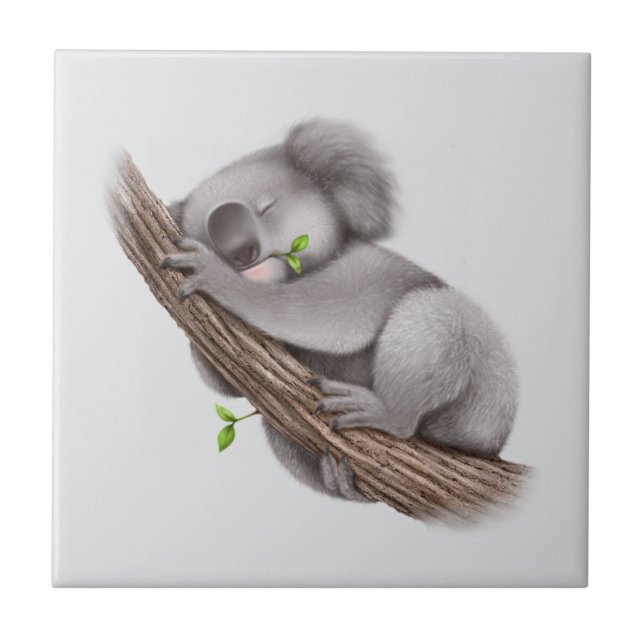 Koala Bear sover Kakelplatta (Framsidan)