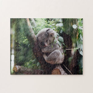 Koala Bear Vild Animal Spipande på en bamboo Träd Pussel