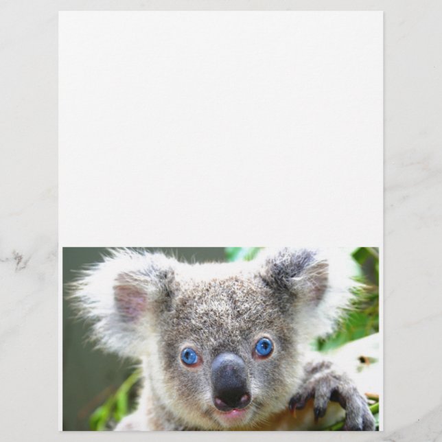 Koala Bears (Framsida)
