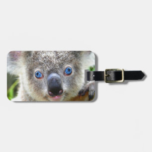 Koala Bears Bagagebricka