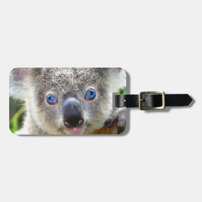 Koala Bears Bagagebricka (Horisontell Framsida)