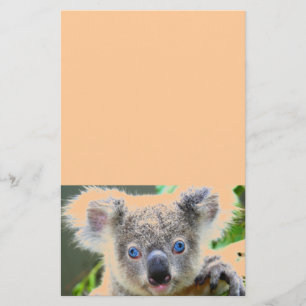 Koala Bears Brevpapper