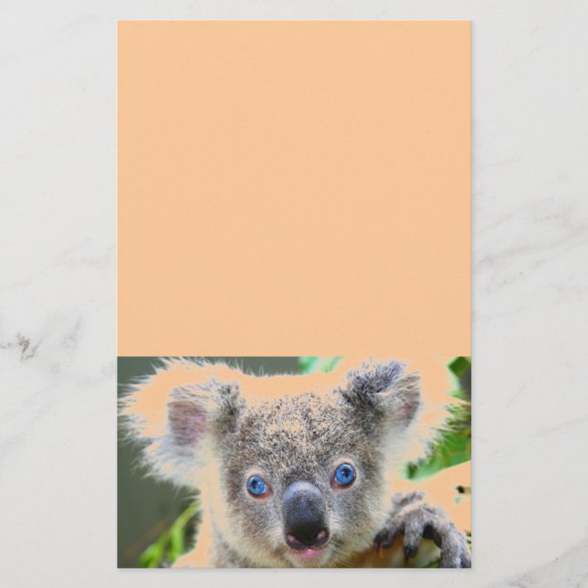 Koala Bears Brevpapper (Framsida)