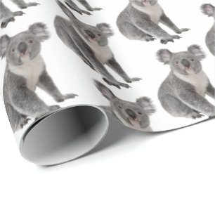 Koala Bears on White Presentpapper