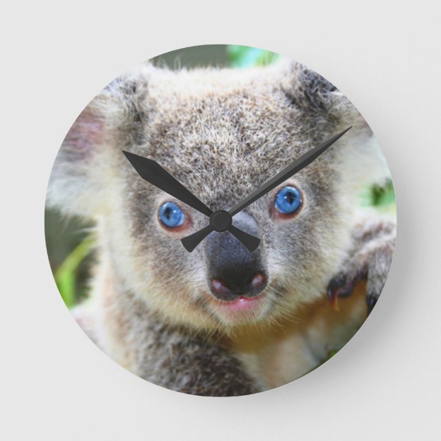 Koala Bears Rund Klocka (Framsida)