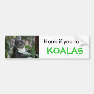 Koala Bildekal