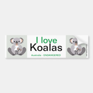 Koala- Bildekal