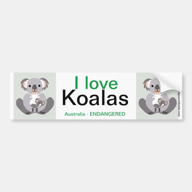 Koala- Bildekal (Framsidan)