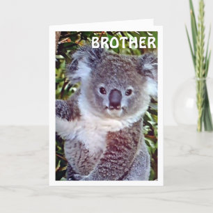 "KOALA BIRTHDATABAS ÄR BARA FÖR DIG KORT