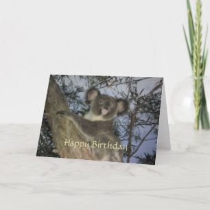 Koala Birthday Card Kort