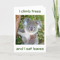 "KOALA BIRTHDAY GREETINGS" HAN ÄTER KASTA FÖR DIG